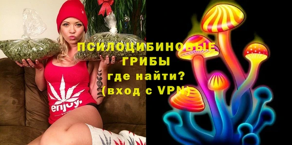 СК Алзамай