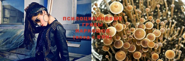 СК Алзамай