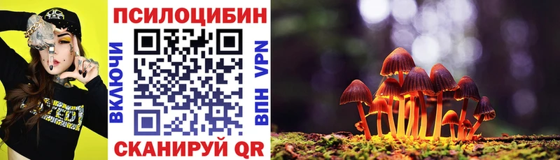 купить наркоту  Калтан  Псилоцибиновые грибы GOLDEN TEACHER 